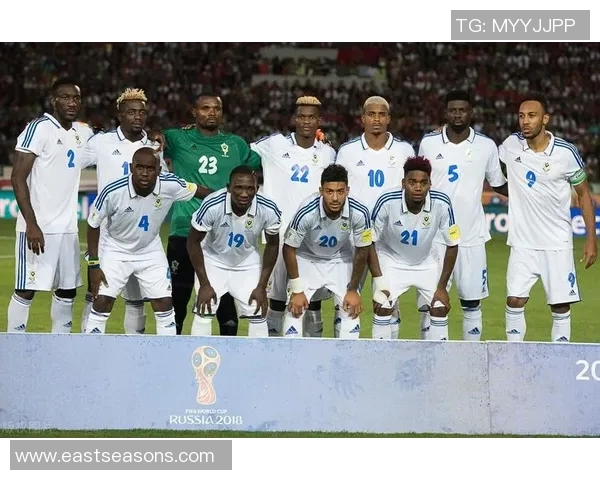 杭州足球队实力强劲荣登全国足球力量排行榜第八位